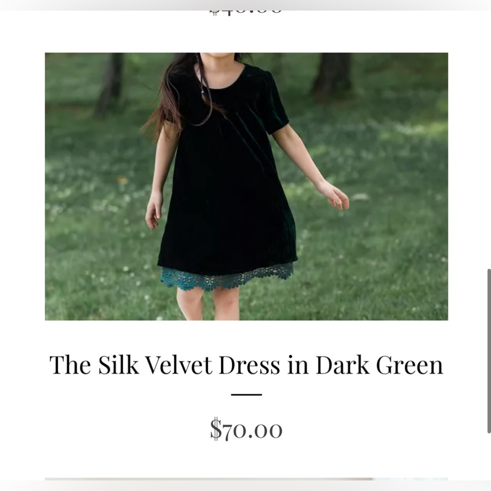 Flower and IVY Velvet Green Dress NWT